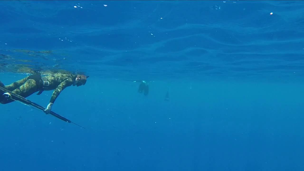 Speargun freedivers - South Point Hawaii.