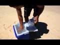 Matt Sun&#39;s ice water bucket challenge in Lanikai Beach, Hawaii