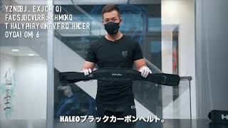 HALEO CARBON BELT - バルクスポーツ公式ストア