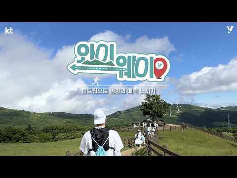 소도시 평창과 청년을 연결하기 위한 YF민트크루의 런트립 프로젝트, '와이웨이' 🏃