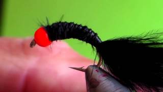 Carp tugger terry babich