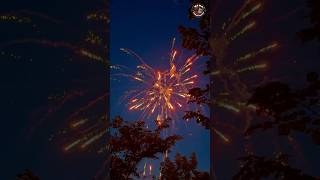 16 Shots Plantom By Lf Leegendary Fireworks