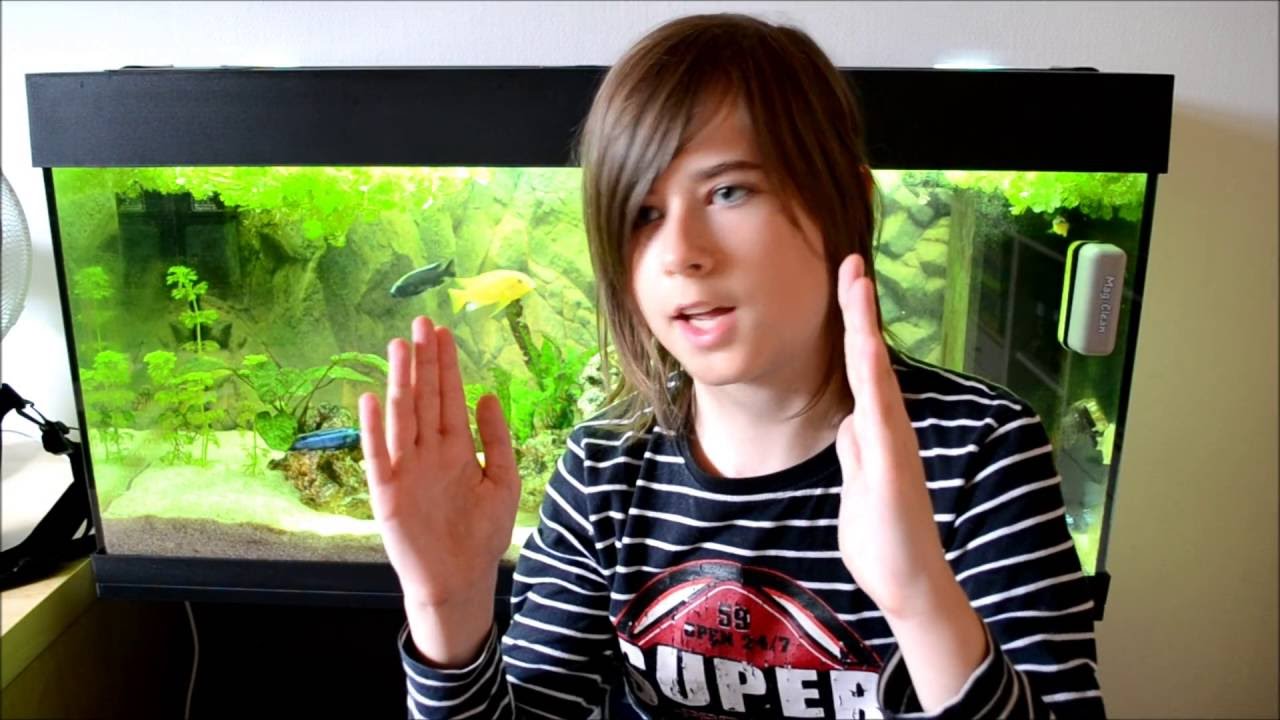 My Aquarium History (Contest Entry for TheRossiBoy)