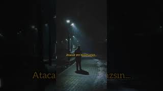  Şiir Şiirheryerde Şiirduvarda Şiirsokakta 