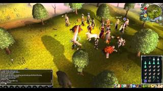 Runescape - New Interface - Hati & Skoll