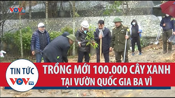 Thực hiện mục tiêu trồng mới 100.000 cây xanh tại Vườn Quốc gia Ba Vì