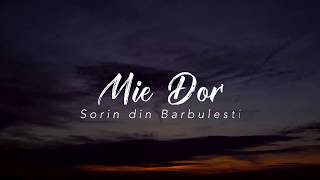 Sorin de la Barbulesti - Mi-e Dor [2019]
