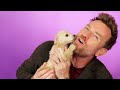 Ewan McGregor Plays With Puppies