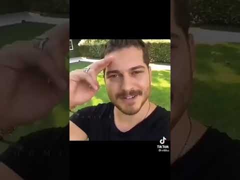 شاتاي اولسوي الفخامة 