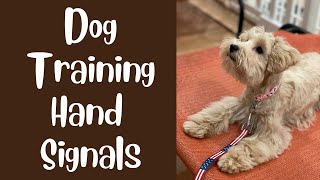 Dog Training Hand Signals   Preparing for the AKC CGC Test