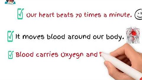 unit 2 Connect Plus Grade 3 Unit2 Connect Lesson 1 Plus Grade 3