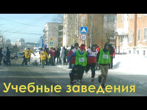 учебные заведения