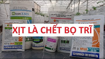 11 - Bọ trĩ sẽ bị tiêu diệt khi gặp những loại thuốc này......///////????