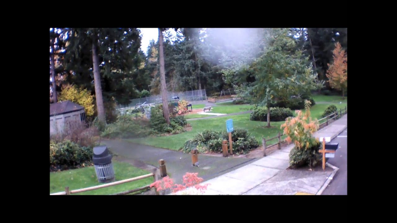 Hillaire park YouTube