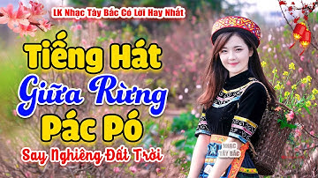 Điệu Nhạc Say Nghiêng Cả Núi Rừng | TIẾNG HÁT GIỮA RỪNG PÁC PÓ . LK Nhạc Tây Bắc Hay Nhất 2024