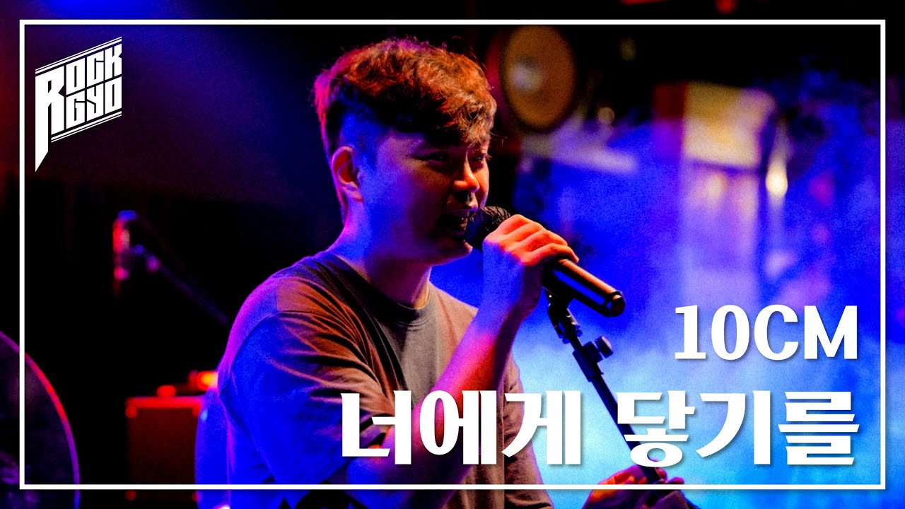 10CM―너에게 닿기를｜밴드 커버｜락교 25년 5월 정모