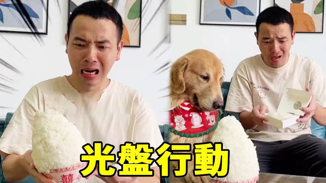 四毛的 “光盤計劃” 太狠了！毛爸的米飯堆成山，最後居然被整到崩潰？【起错名的四毛】