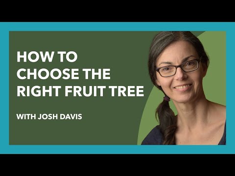 How to Choose the Right Fruit Trees: A Beginner's Guide