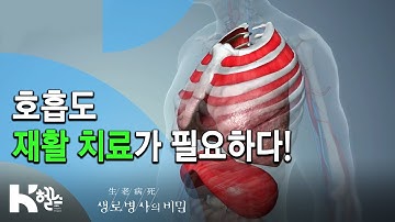 ??호흡 재활 치료?‍♀ - 717회(19.12.04) 몰라서 더 무섭다, COPD(만성폐쇄성폐질환)