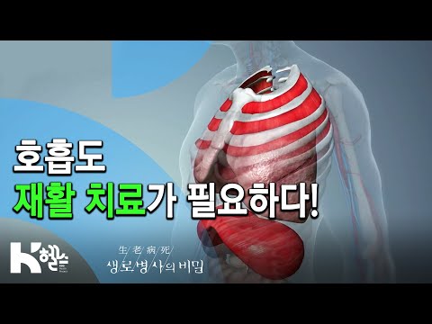 💪🏻호흡 재활 치료🏃‍♀ - 717회(19.12.04) 몰라서 더 무섭다, COPD(만성폐쇄성폐질환)