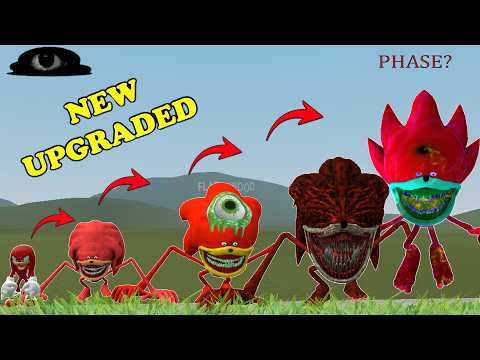 EVERY SONIC KNUCKLES 1 5 FAMILY FORM HAS EVOLVED! SONIC TAPES AND SONIC AMY BECOME INSANELY POWERFUL