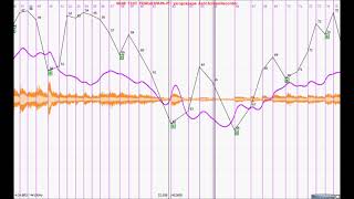 Media Example 5.7: Sonic Visualiser capture of Figure 5.8 (Chopin/Ashkenazy)