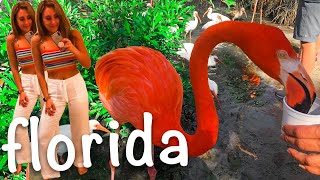 Florida VLOG: Bonita Springs, Naples, Fort Myers