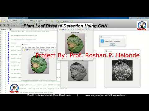Plant Disease Detection Using CNN | Plant Leaf Disease Classification Using Matlab Code
