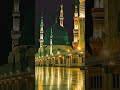nahi hai koi duniya men hamara ya rasoolullah...#viral#shorts #viralvideo#love#shortvideo #video