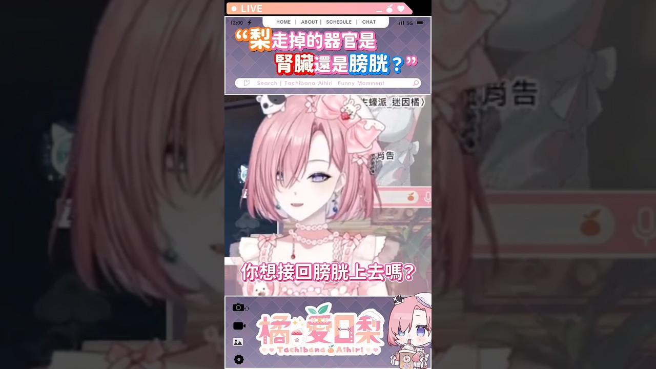 梨走掉的是器官是腎臟還是膀胱?「橘 爱日梨Tachibana Aihiri」 #vtuber #橘愛日梨 #SliceToranges #genshinimpact #台V #原神 #short | MYViki
