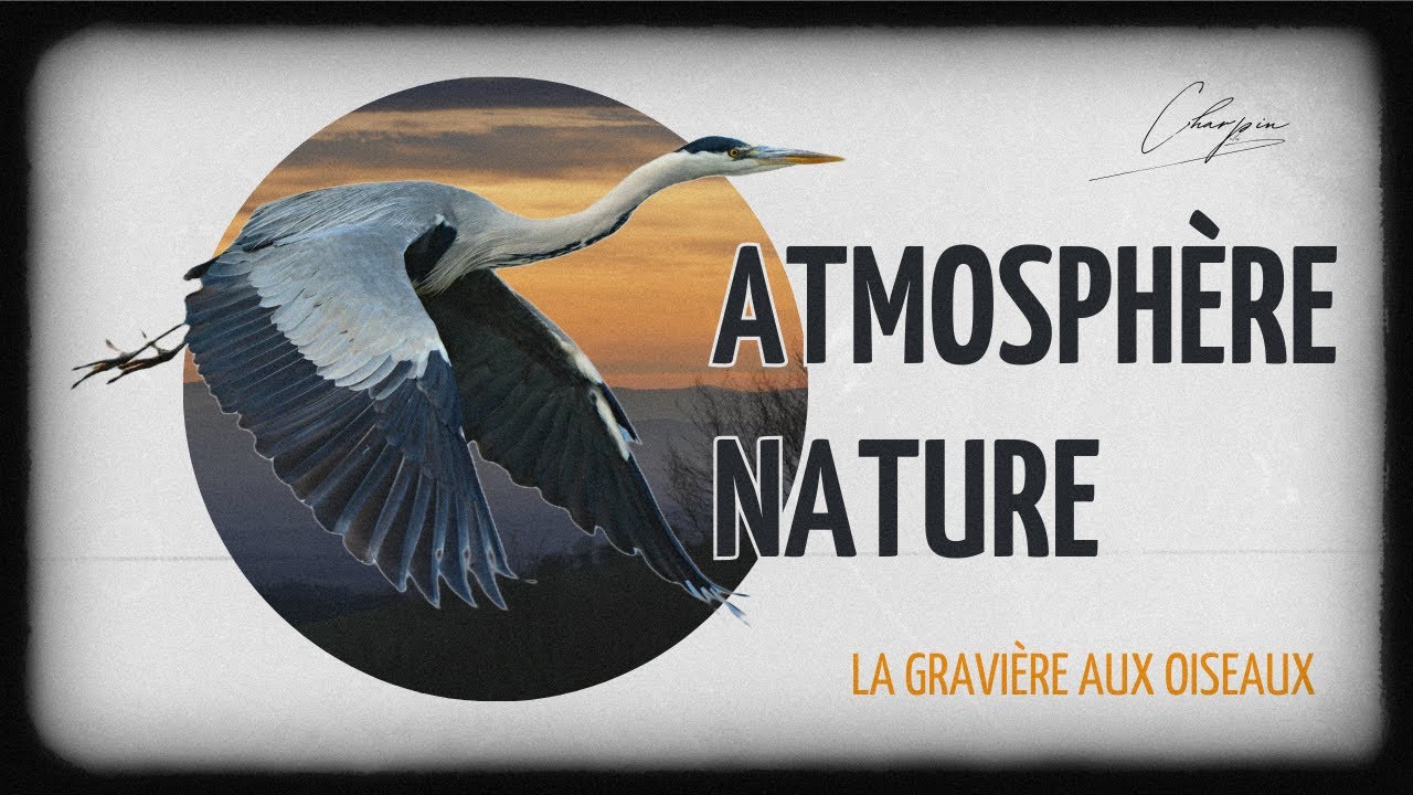 Atmosphère Nature - La Gravière aux Oiseaux