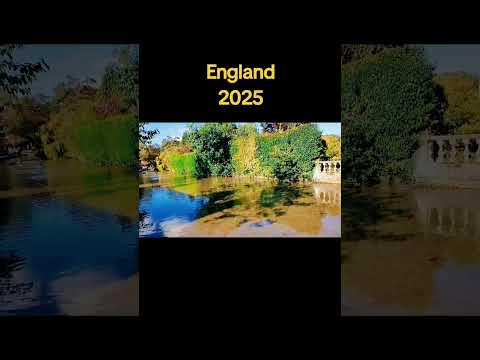  2025          