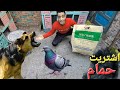 اشتريت حمام جديد وكلب هجم عليه في سوق الحمام 