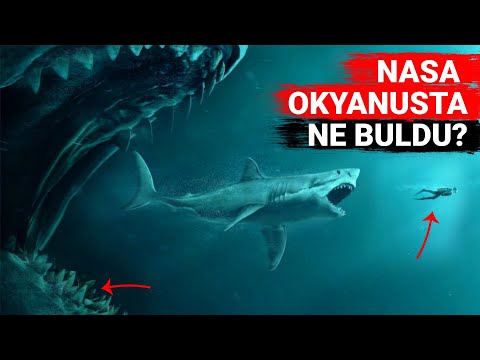 Video: NASA'nın kısaltması olan STS nedir?