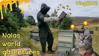 BEEKEEPER for a day  Vlog #102