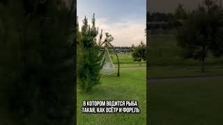 Обзор элитного поселка Ленинградской области #обзор #недвижимость #дом #стройка #блог #строительство