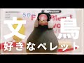 【文鳥のペレット・ズプリームフルーツブレンド】小鳥のお世話Vlog