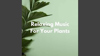 Lovely Moods for Private Ways