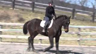 Seveno Flatwork