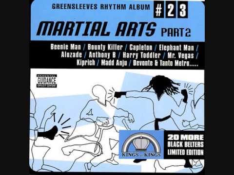 Martial Arts Pt.2 Riddim Mix (2002) By DJ.WOLFPAK