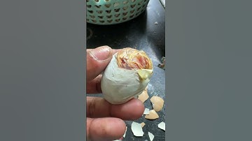 Open egg shell instantly to save stuck baby chick