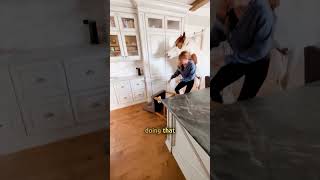 Horse Walks Into House