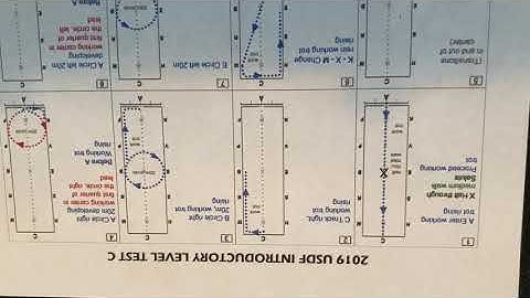 2019 USDF INTRODUCTORY LEVEL TEST C chart