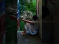 god's timing #motivationalvideo #shortsvideo #trendingshorts #naturelovers