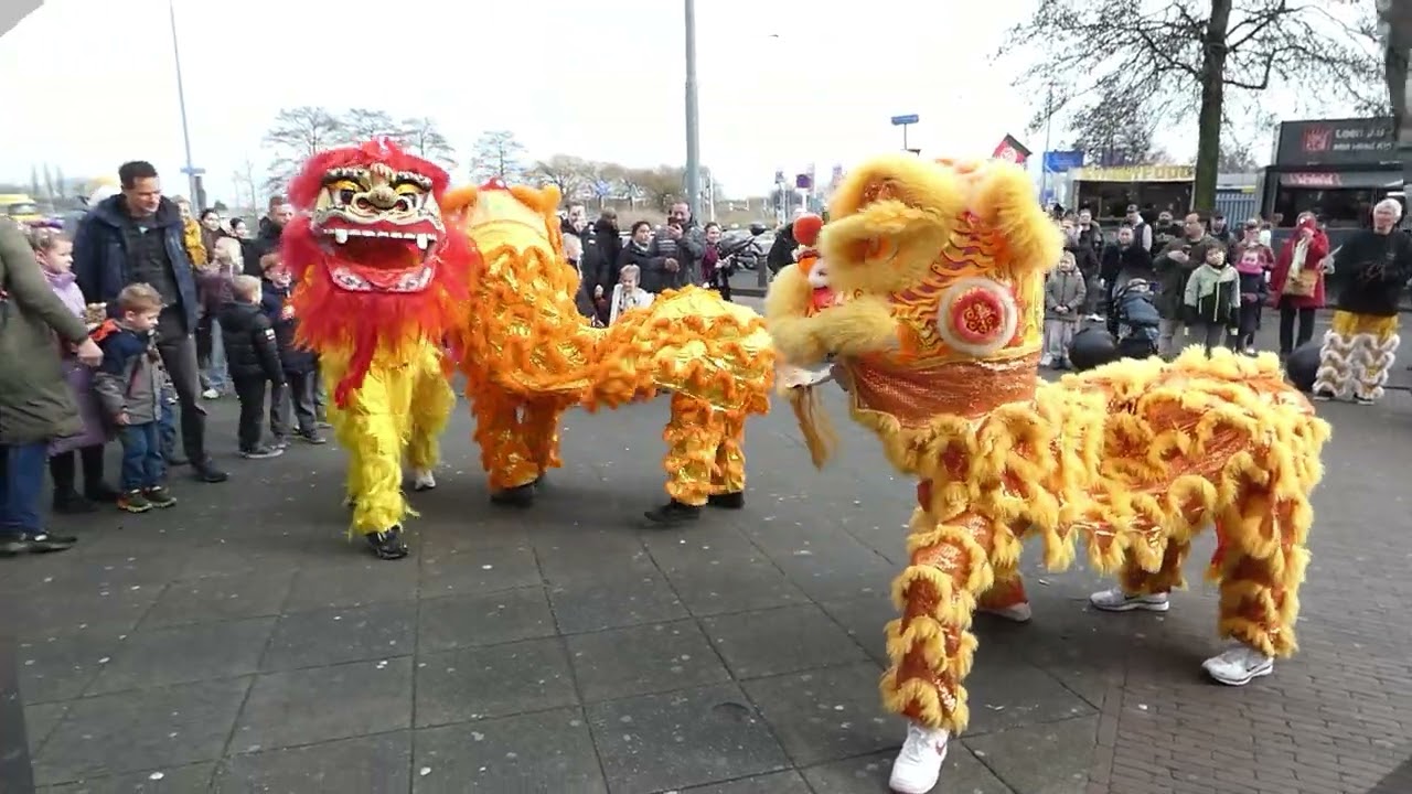 Leeuwendans op Beverwijkse Bazaar