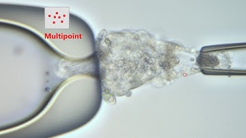 LYKOS with Dynamic Targeting System