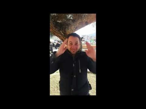 ხელით აწევა და ყვითელი ბარათი წინაღმდეგ