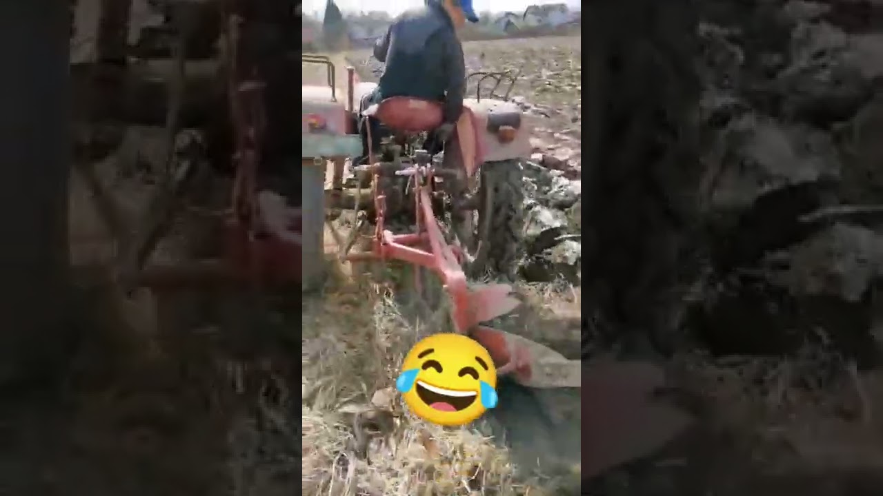 Oranje 2022..Old timer Mc Cormic D320(ded3) 1954 god.  i IMT 16 cola