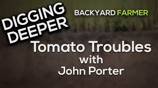 Digging Deeper: Tomato Troubles