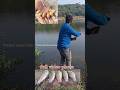 small size fish catching #fish #viral #best #rahu